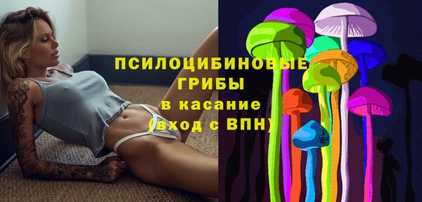 СК Алексеевка