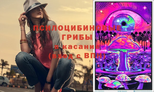 СК Алексеевка