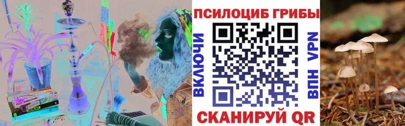 Псилоцибиновые грибы Psilocybine cubensis  цены наркотик  МЕГА tor  Заводоуковск 