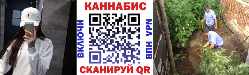 Бошки Шишки Amnesia  МЕГА как зайти  Заводоуковск 